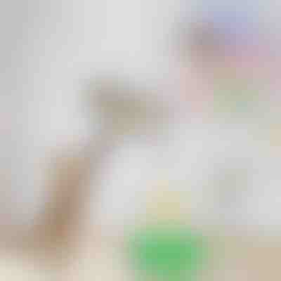 Elektrická hračka pro kočky na dráždění ptáků | BIRDIETOY