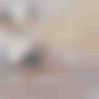 Nafukovací Rozkládací Pohovka na Lůžko | SOFLINKA