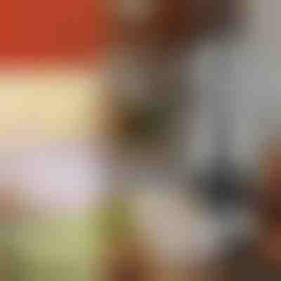 Ruční kráječ zeleniny | CHOPSTER