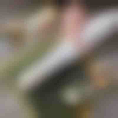 Snadný domácí sushi váleček | SUSHROLIO