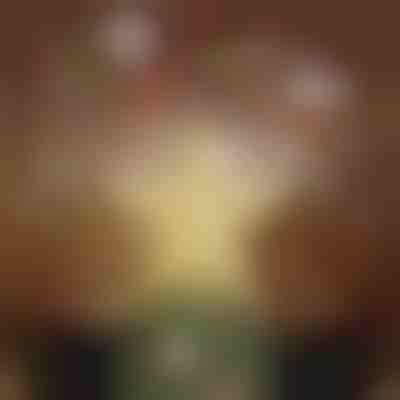 Vánoční hvězda s projektorem | FLAKELITE