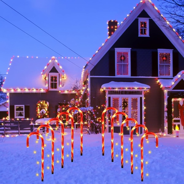 JOLLYCANE15695__080725