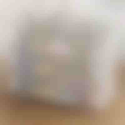 Průhledný stohovatelný úložný box na boty | DURASTOR